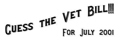 Guess the Vet Bill for July 2001!