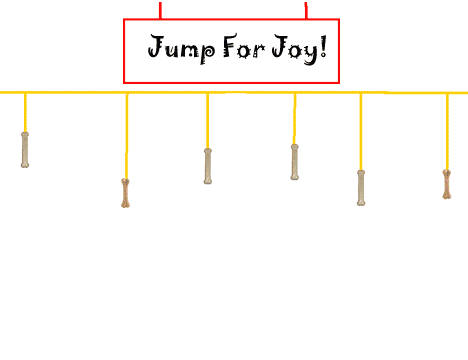 Jump for Joy, a game of skill and chance