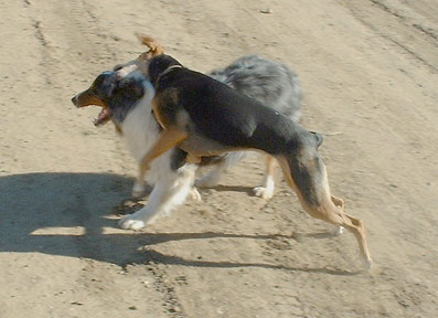 ...but he won't be pinned!!!